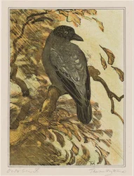 Colorful Crow on a Branch