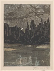 Nocturnal Landscape with Migratory Birds