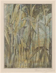 Bird in the Reeds