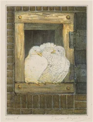 White Doves in Window