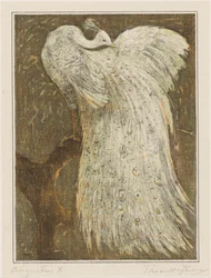 White peacock on a branch
