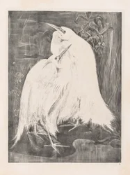 Animal Studies: Two Silver Herons