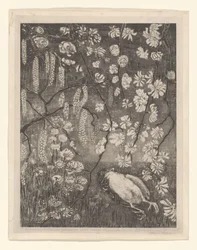 Dead Bird Under Hazel and Honeysuckle Branches