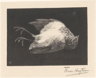 Dead Robin