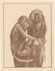 Two Monkeys on Tree Stumps (Animal Studies)