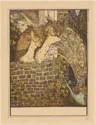 Two Owls on a Wall