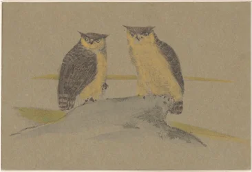Greeting Card with Two Owls