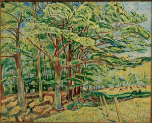 Oaks