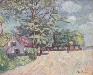 Spring Landscape