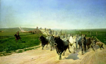 Unknown Image