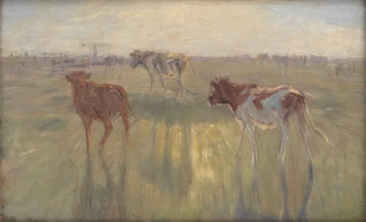 Cattle Seen Against the Sun on the Island of Saltholm
