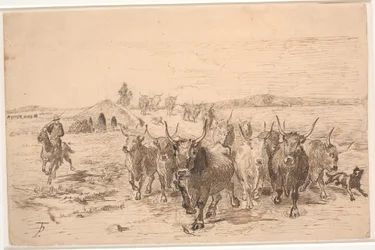 A Herd of Oxen in the Roman Countryside