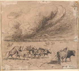 A Flock of Bull-Crazy Cows on Saltholm