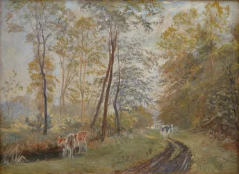 The River Sorteaa near Mejlgaard Manor, Jutland