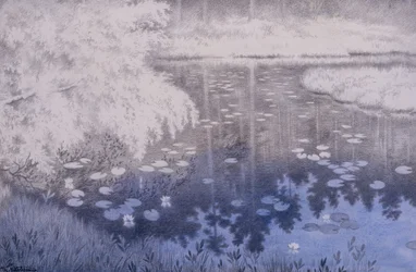 There is the Pond in Svartebudalen