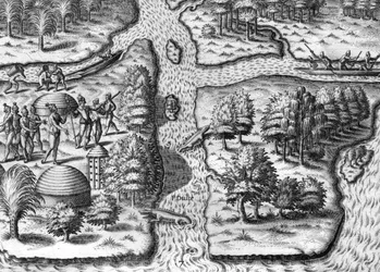 The French Expedition Based in Charlesfort, Parris Island