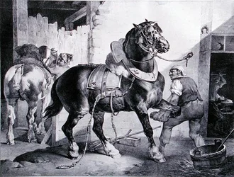 The Forge