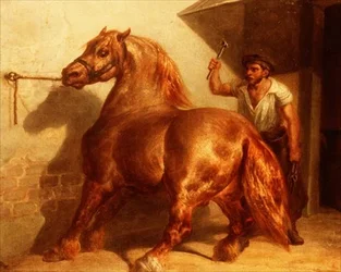 Cart Horse at the Blacksmith