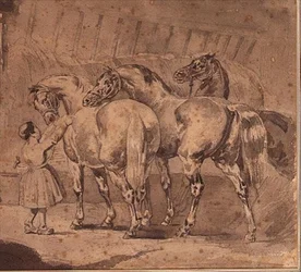 Little girl feeding horses in a stable