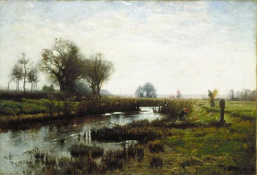 Late Afternoon, Dachau Moor