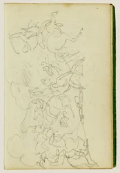 Cavalry Battle