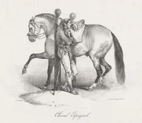 Spanish Horse
