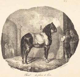 Horse from the Plain of Caen