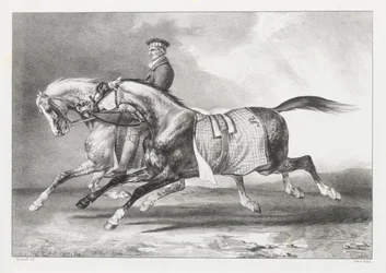 Two Dapple-Grays Being Exercised