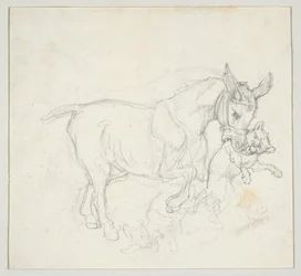 Donkey Holding Dog in its Mouth (recto); Study of Deer Chased by Dogs, Doe