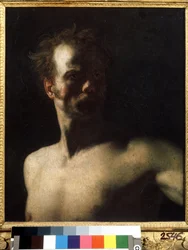 Study of a Nude