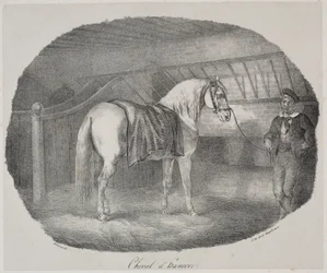 Hanoverian Horse