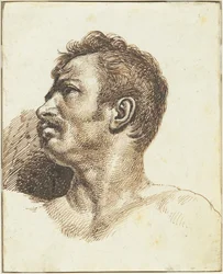 Head of a Man