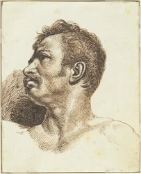 Head of a Man (recto)