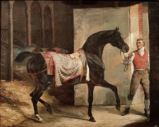 Horse leaving the stable