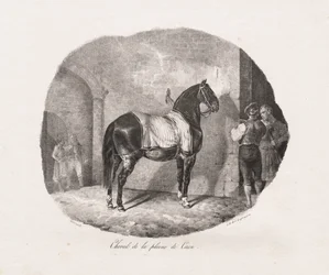 Lithographed Studies of Horses: Pl. 7, Horse from the Caen Plain
