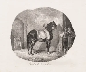 Lithographed Studies of Horses: Pl. 7, Horse from the Caen Plain