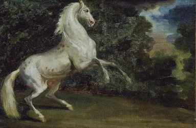 Prancing Horse