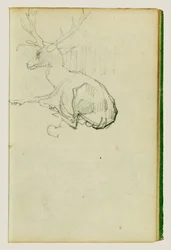 Seated Stag