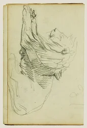 Seated Lion