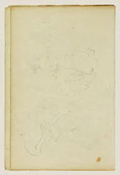 Sketches of Head and Hind Legs of a Lion