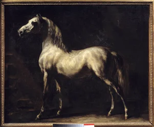 Study of a Horse