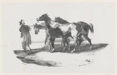 Three Horses Being Led to the Slaughterhouse