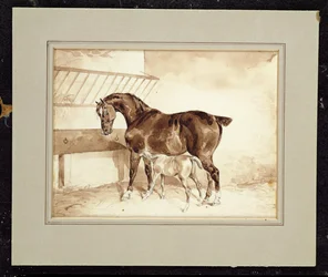 Unknown Image