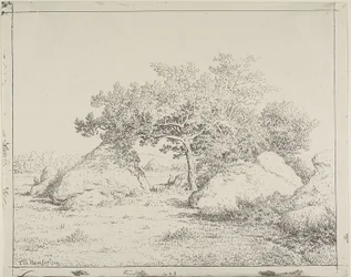 Cherry Tree at Plante à Biau