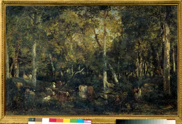 Interior of the forest called the Old Dormitory of Bas-Breau (Fontainebleau forest)