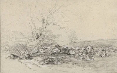 Chopped Down Trees