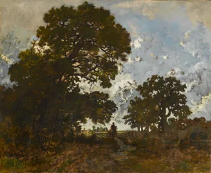 The Beech in the Forest of L