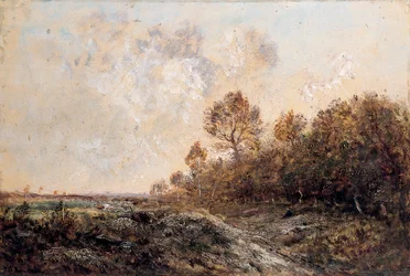 The Edge of a Wood