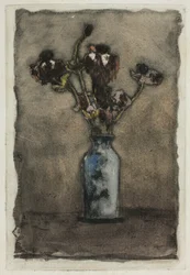 Anemones