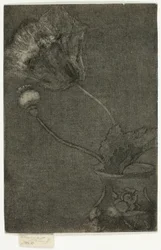 Poppy in a Vase